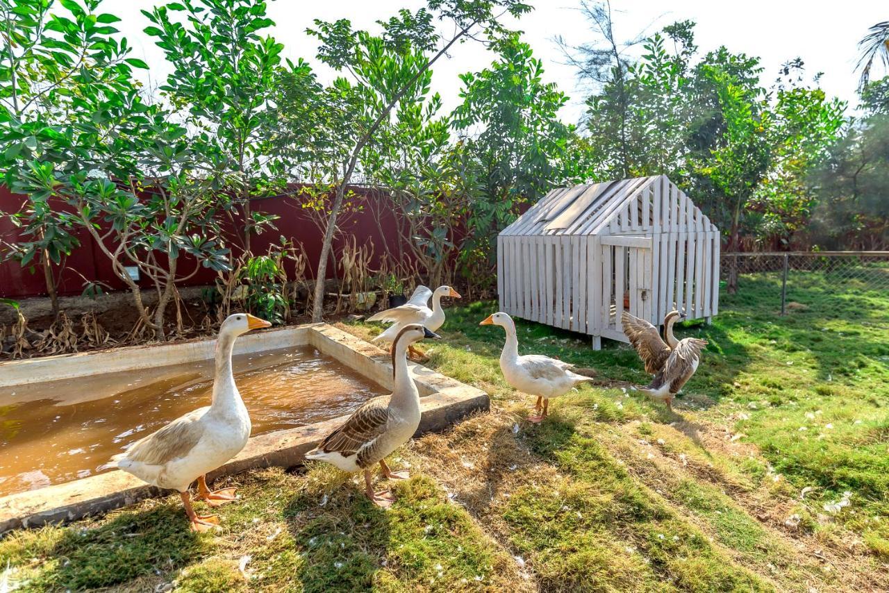 Saffronstays Palm Paradise, Kalyan Khadavli - Swimming Pool With Water Slides, Gazebo And Indoor Games Padghe 外观 照片